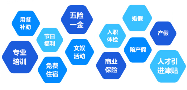 提供全面、系統(tǒng)、專業(yè)的培訓(xùn)和廣闊的<br>職業(yè)發(fā)展空間和提升機(jī)會